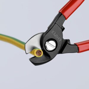 FF__95 11 165_498.tif